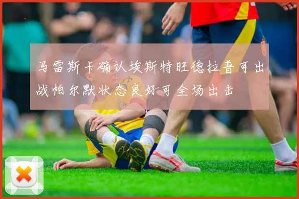 马雷斯卡确认埃斯特旺德拉普可出战帕尔默状态良好可全场出击