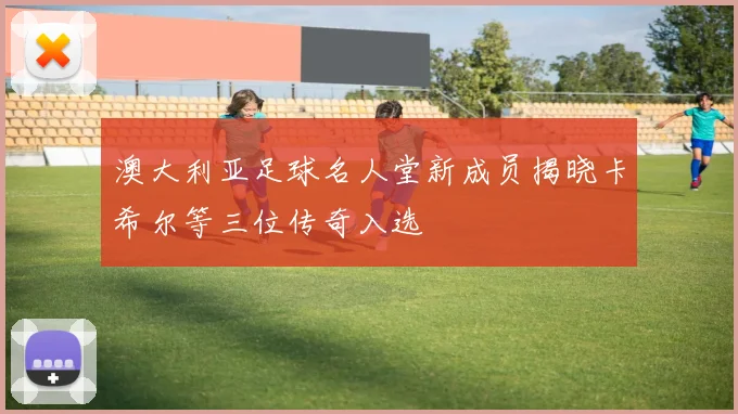 澳大利亚足球名人堂新成员揭晓卡希尔等三位传奇入选