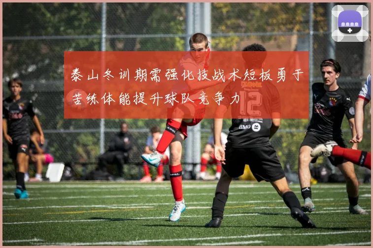 泰山冬训期需强化技战术短板勇于苦练体能提升球队竞争力