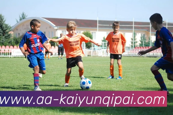 多媒体互动体验