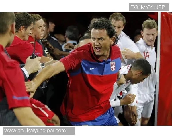 尼斯俱乐部发声谴责球迷暴力行为呼吁维护体育精神与安全 尼斯俱乐部发声谴责球迷暴力行为呼吁维护体育精神与安全