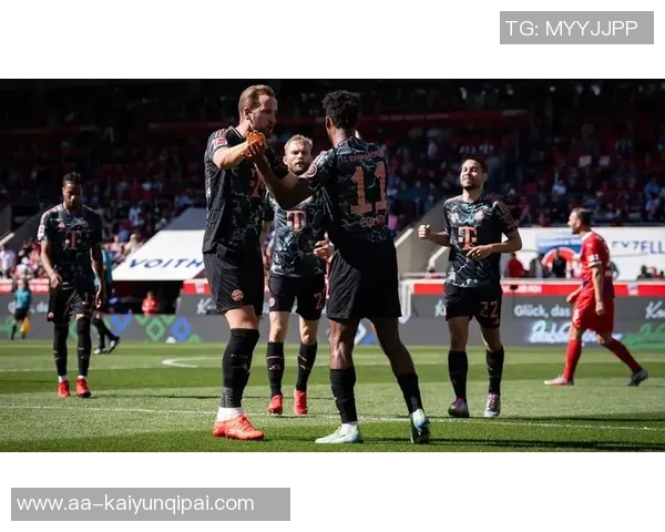 海登海姆计划与拜仁谈判以留住小伊布实现长期合作 海登海姆计划与拜仁谈判以留住小伊布实现长期合作